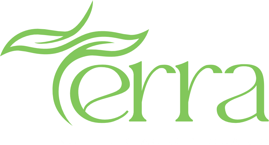 Academi